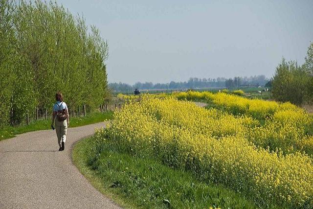 Parels langs de Linge (12 km)