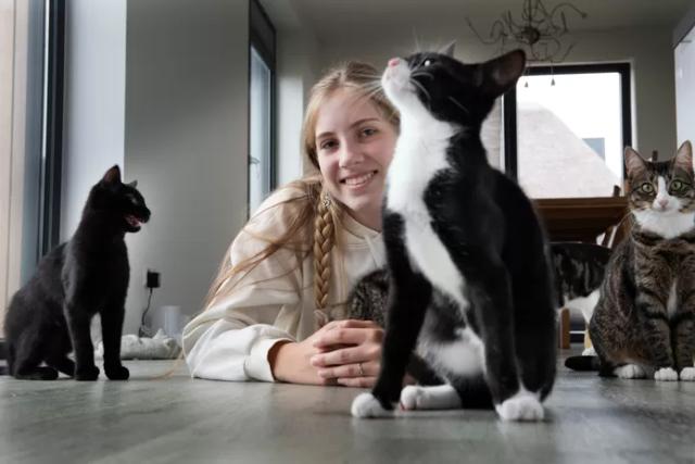Stichting zoekt gastgezinnen voor ‘lastige’ kittens: ‘Gedumpte kittens hebben een achterstand’