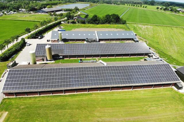 Het Anker zet kip nog meer centraal met nieuwe opfokstal in Acquoy