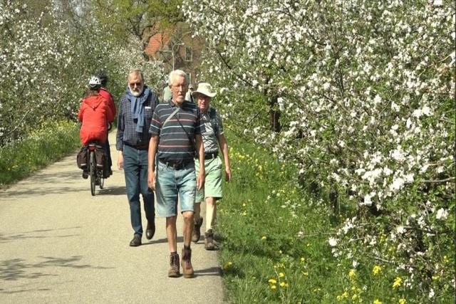 Nooit meer een Bloesemtocht, stichting heft zich op