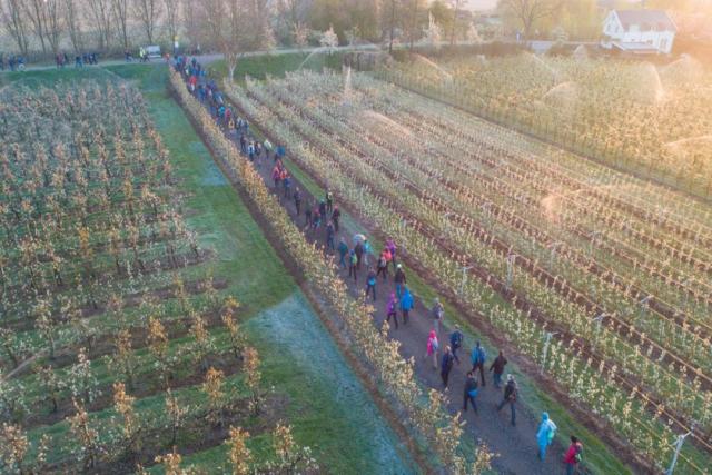 Terugblik op dertig jaar Rode Kruis Bloesemtocht